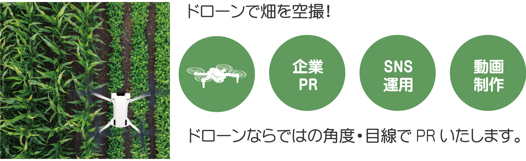 畑空撮